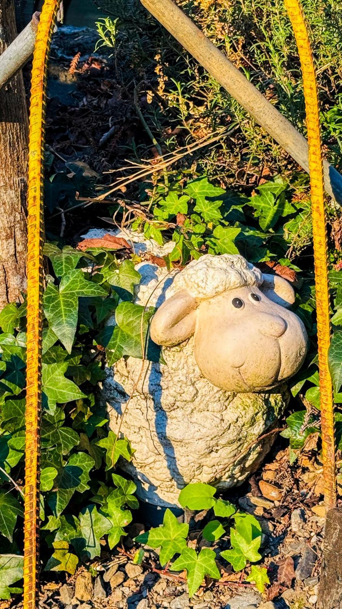 31 Homestay Renai Exteriör bild